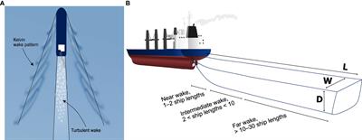 Hydrographical implications of ship-induced turbulence in stratified waters, studied through field observations and CFD modelling